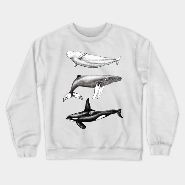 Beluga, orca and humpback whale ink Crewneck Sweatshirt by chloeyzoard